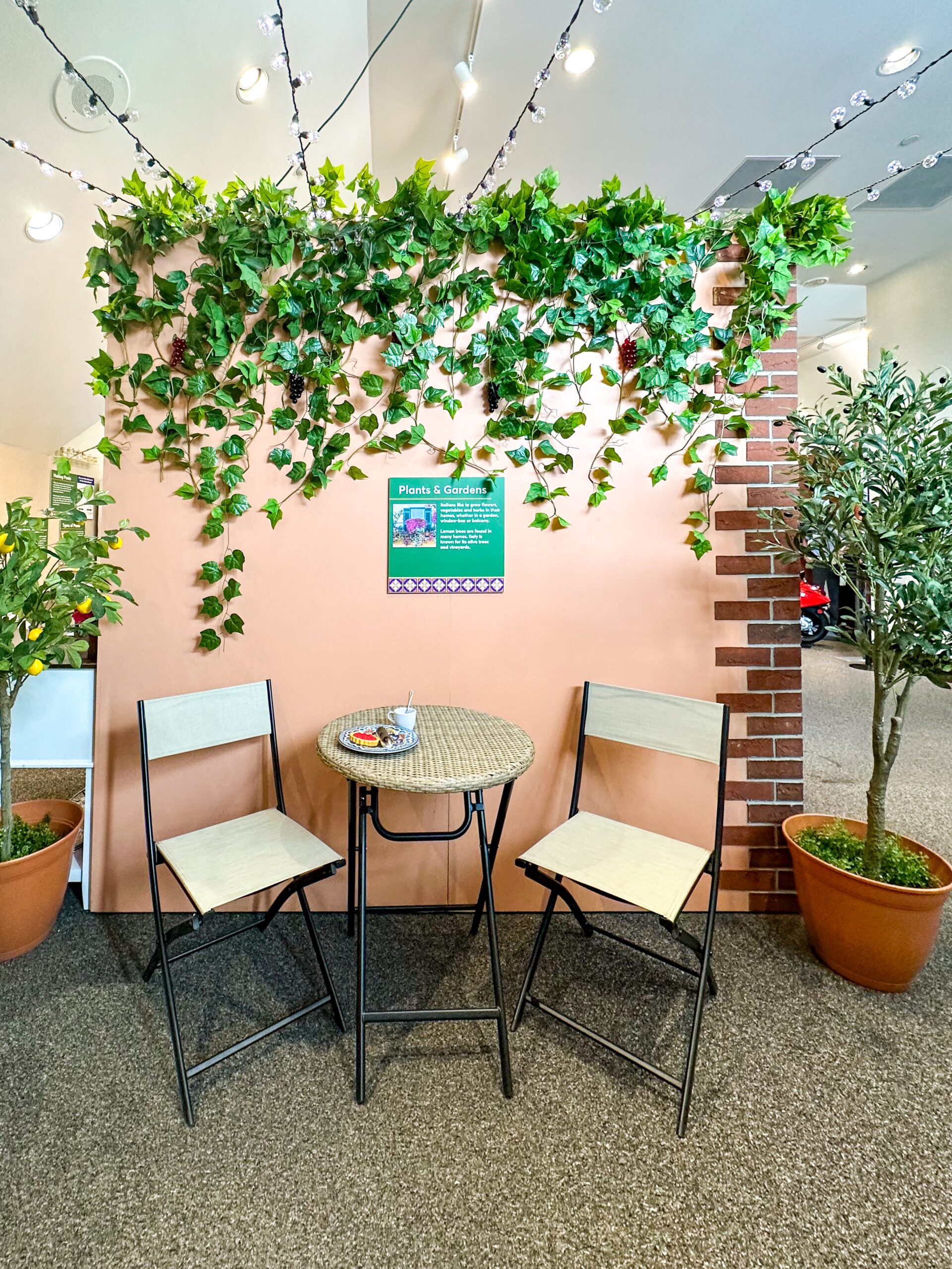 cafe