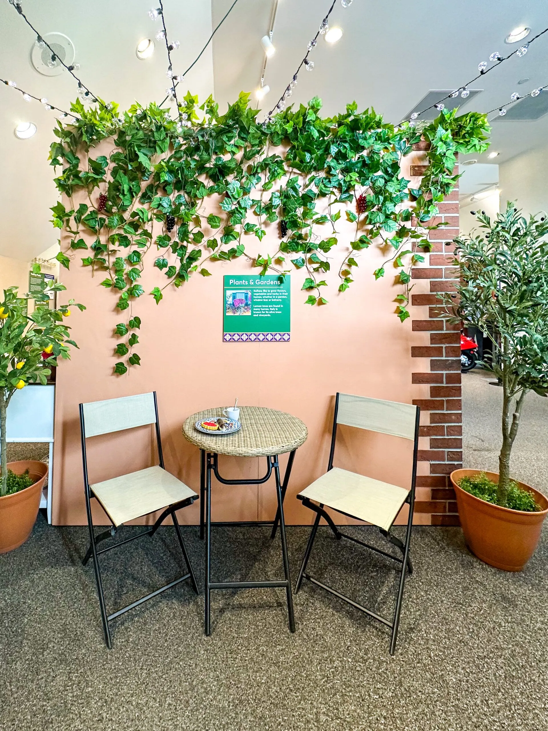cafe