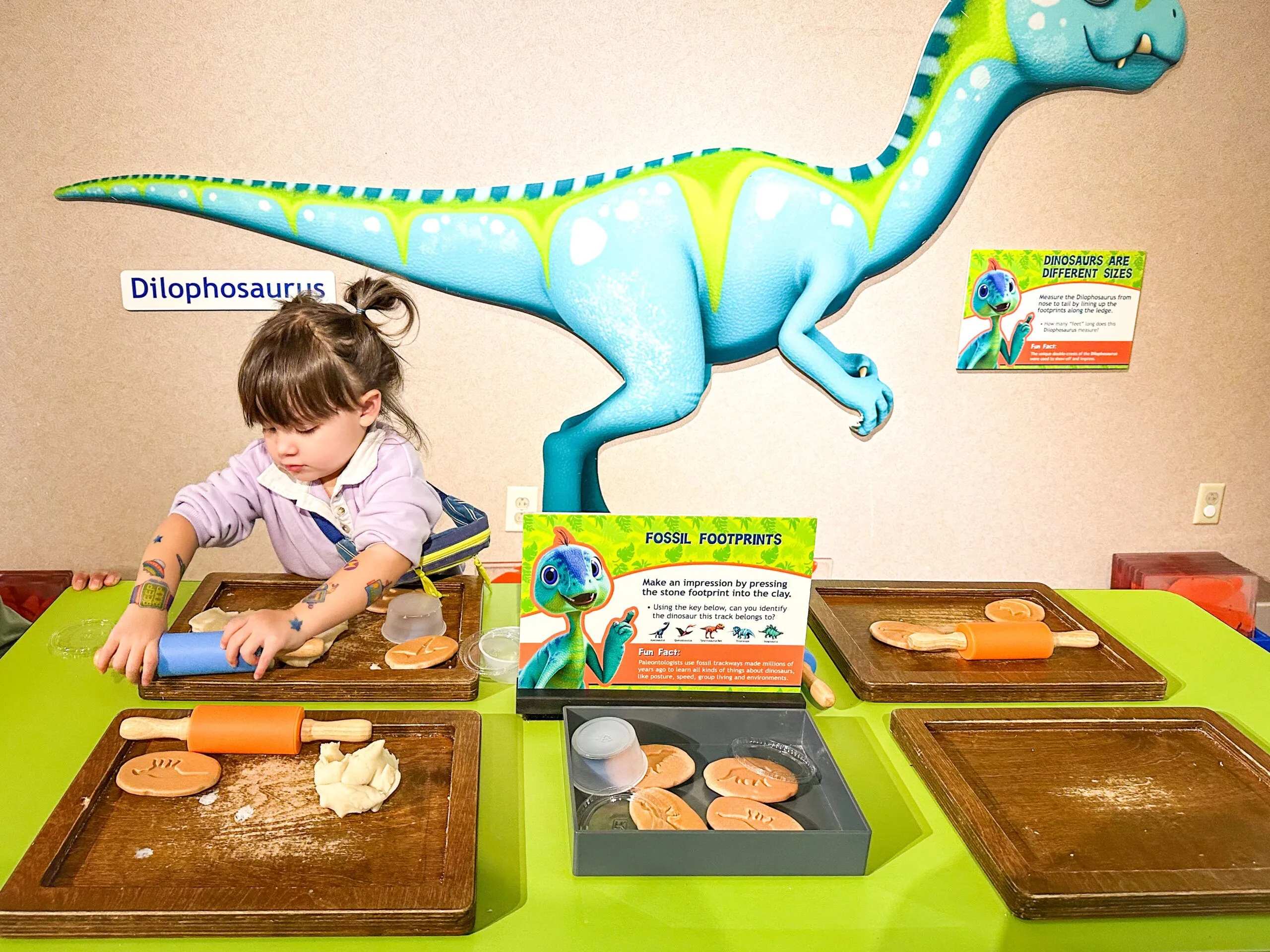 dino fossil
