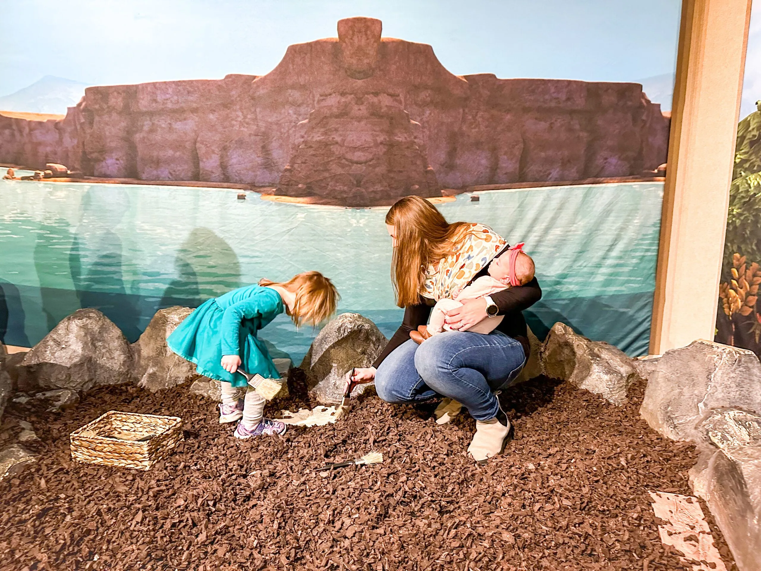 finding fossil